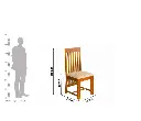 phanti_chair.webp