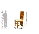 coaster_chair_5783f9eb-57e7-40d6-a783-bccf1c3d80db.webp