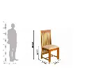 phanti_chair.webp
